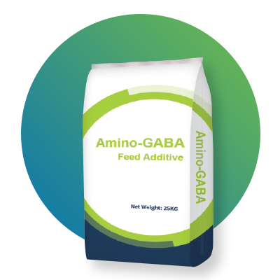 Amino – GABA