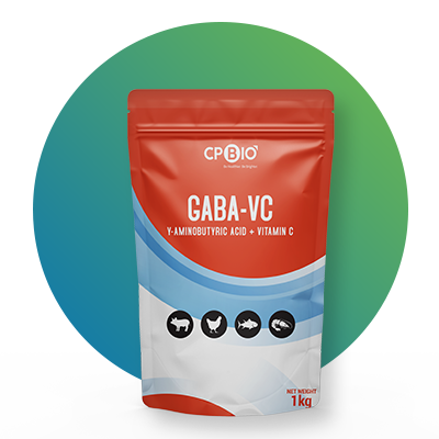 GABA-VC